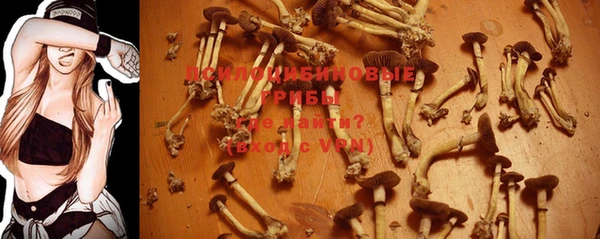 PSILOCYBIN Краснослободск