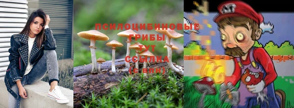 PSILOCYBIN Краснослободск